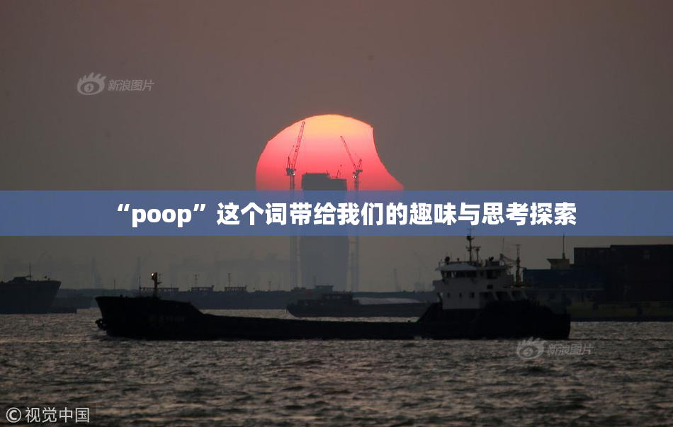 “poop”这个词带给我们的趣味与思考探索