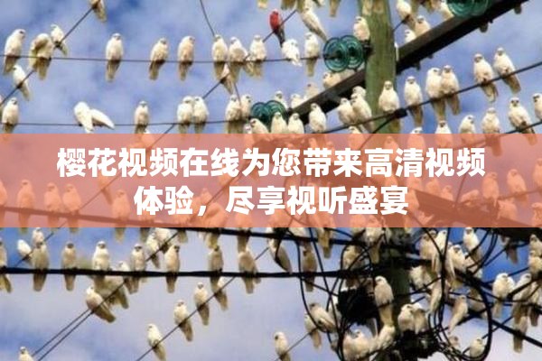 樱花视频在线为您带来高清视频体验，尽享视听盛宴