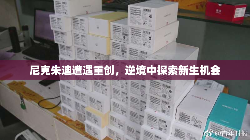 尼克朱迪遭遇重创，逆境中探索新生机会
