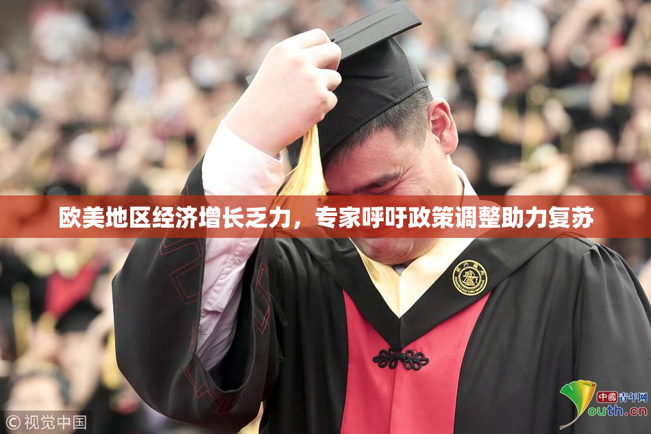 欧美地区经济增长乏力，专家呼吁政策调整助力复苏