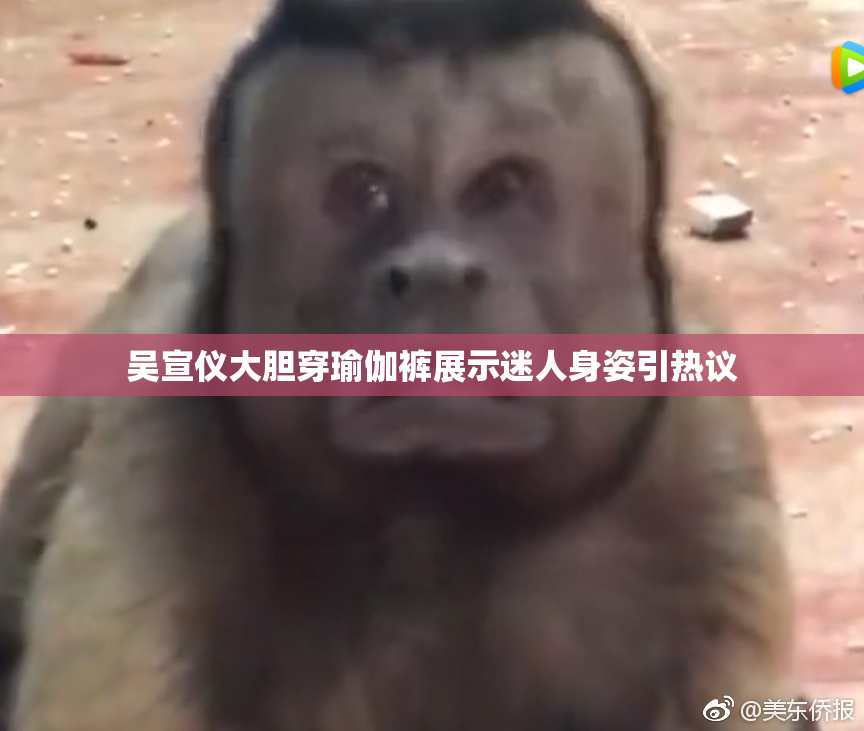 吴宣仪大胆穿瑜伽裤展示迷人身姿引热议