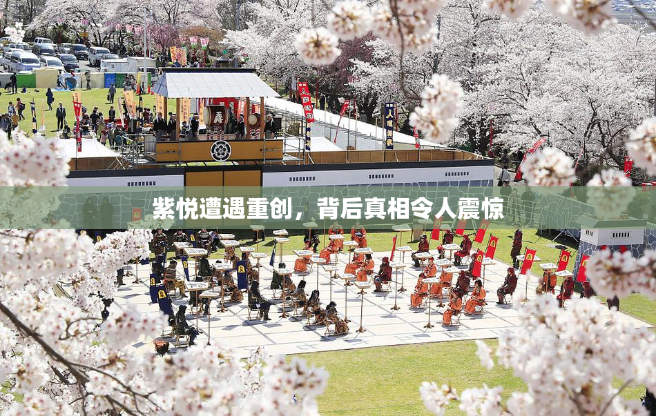 紫悦遭遇重创，背后真相令人震惊