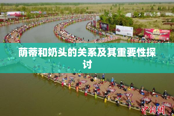 荫蒂和奶头的关系及其重要性探讨