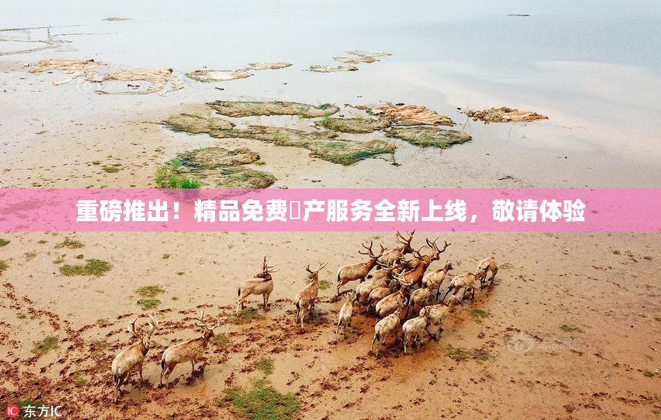 重磅推出！精品免费囯产服务全新上线，敬请体验