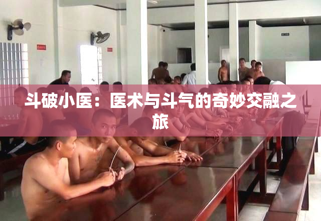 斗破小医：医术与斗气的奇妙交融之旅