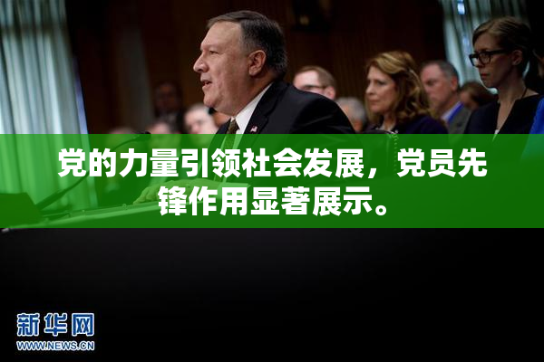党的力量引领社会发展，党员先锋作用显著展示。