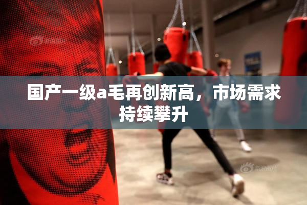国产一级a毛再创新高，市场需求持续攀升