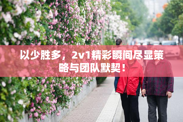 以少胜多，2v1精彩瞬间尽显策略与团队默契！