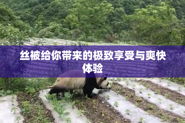 丝被给你带来的极致享受与爽快体验