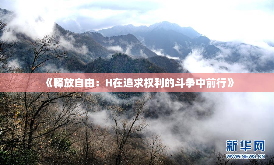 《释放自由：H在追求权利的斗争中前行》