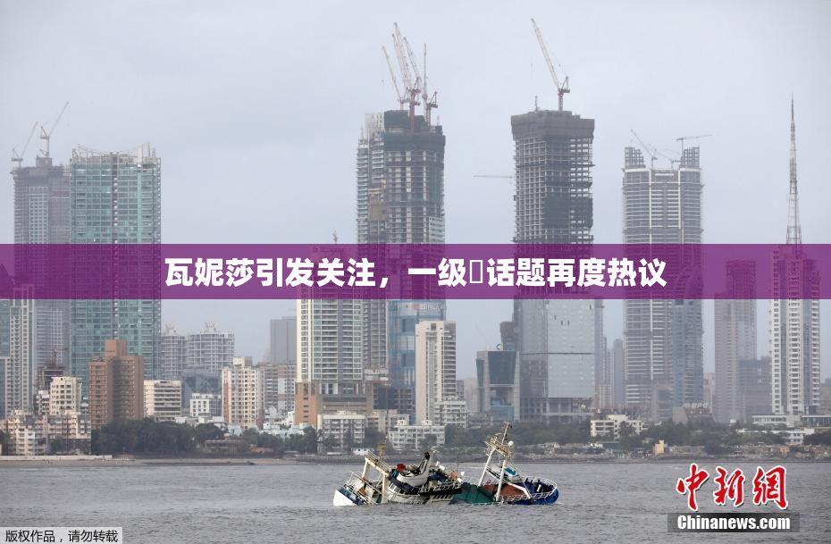 瓦妮莎引发关注，一级婬话题再度热议