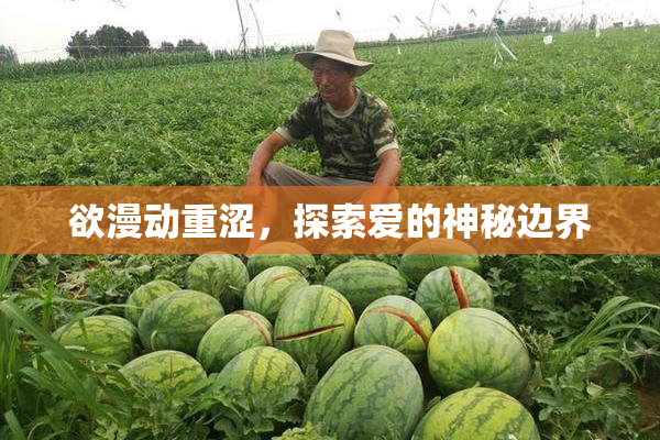欲漫动重涩，探索爱的神秘边界