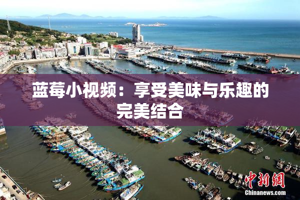 蓝莓小视频：享受美味与乐趣的完美结合