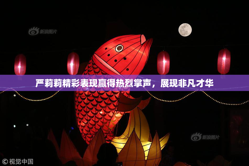 严莉莉精彩表现赢得热烈掌声，展现非凡才华