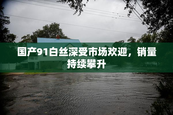 国产91白丝深受市场欢迎，销量持续攀升