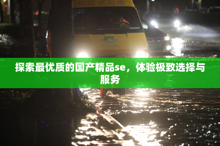 探索最优质的国产精品se，体验极致选择与服务