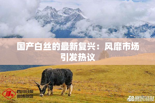 国产白丝的最新复兴：风靡市场引发热议