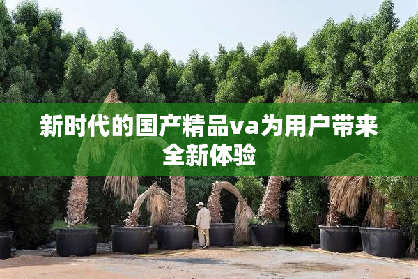 新时代的国产精品va为用户带来全新体验