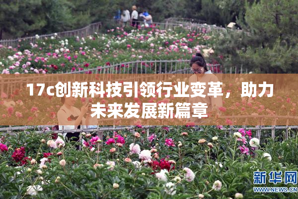 17c创新科技引领行业变革，助力未来发展新篇章