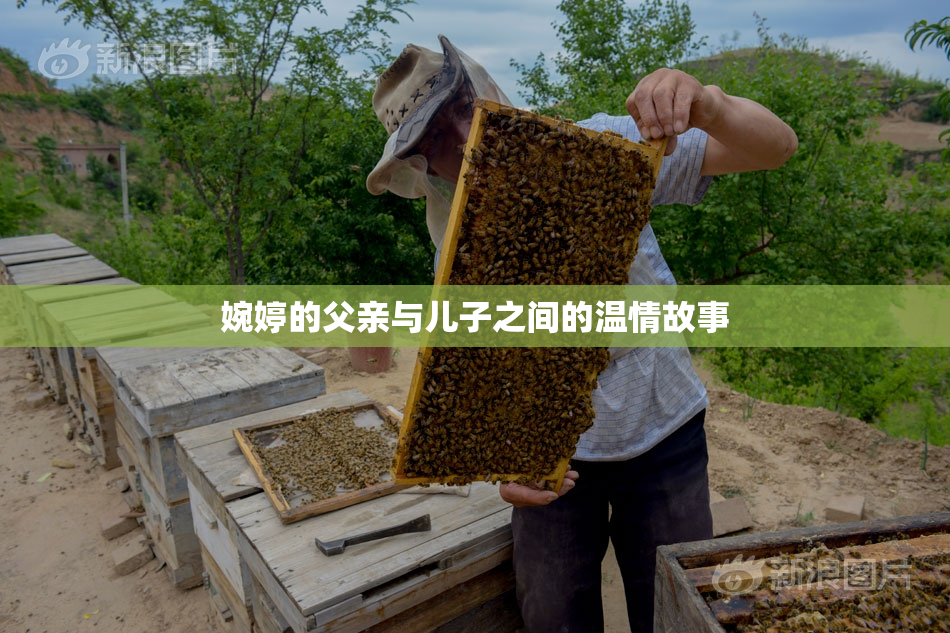 婉婷的父亲与儿子之间的温情故事