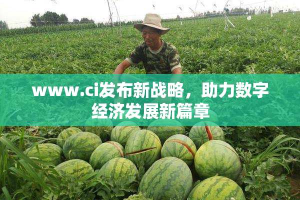 www.ci发布新战略，助力数字经济发展新篇章