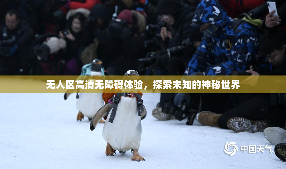 无人区高清无障碍体验，探索未知的神秘世界