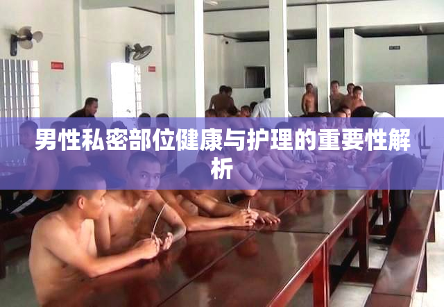 男性私密部位健康与护理的重要性解析