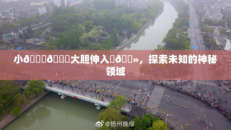小🐔🐔大胆伸入‌🐻，探索未知的神秘领域