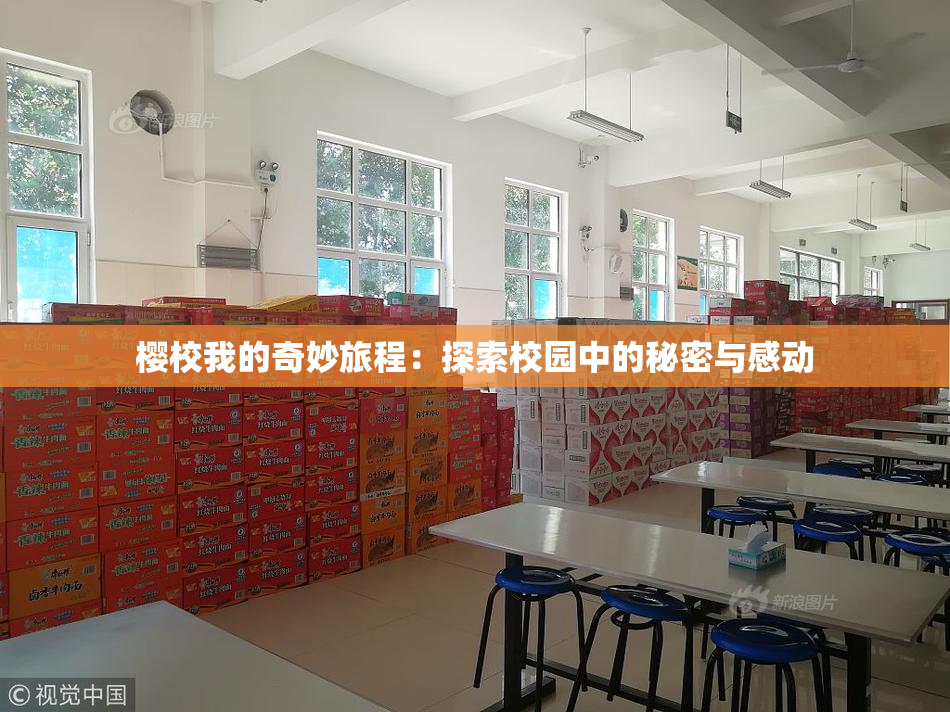 樱校我的奇妙旅程：探索校园中的秘密与感动