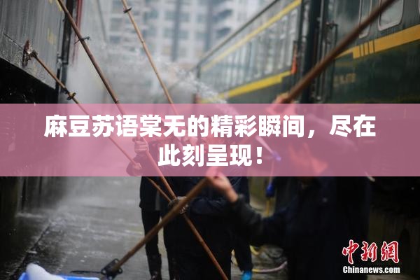 麻豆苏语棠无的精彩瞬间，尽在此刻呈现！