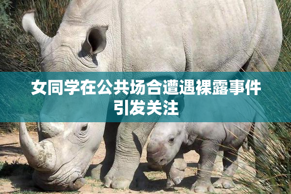 女同学在公共场合遭遇裸露事件引发关注