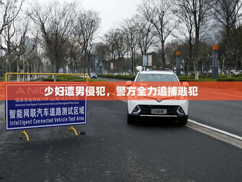少妇遭男侵犯，警方全力追捕逃犯