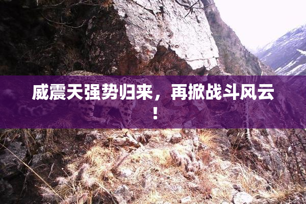 威震天强势归来，再掀战斗风云！