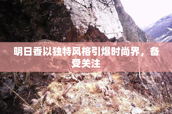 明日香以独特风格引爆时尚界，备受关注