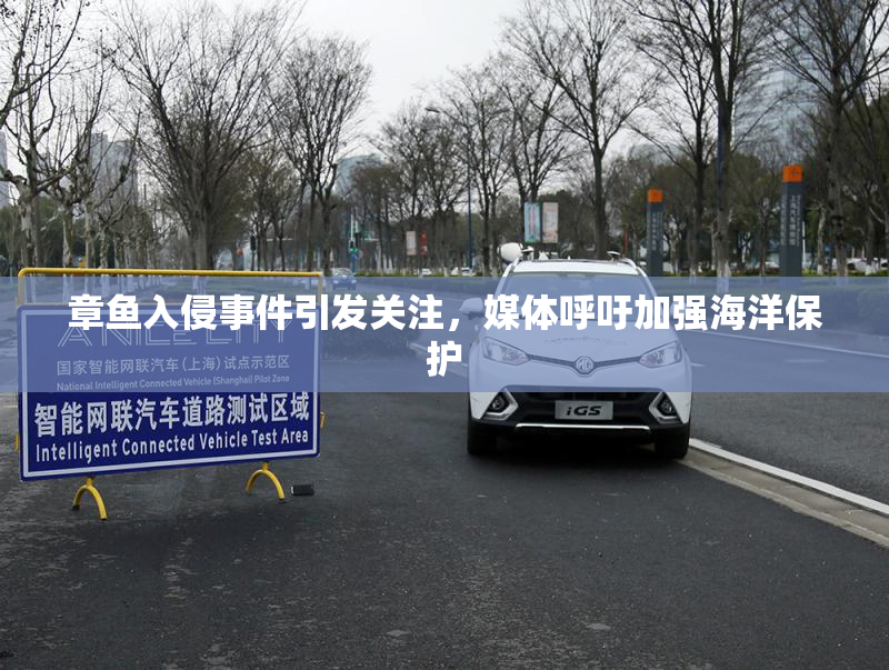 章鱼入侵事件引发关注，媒体呼吁加强海洋保护