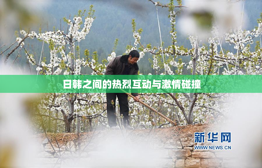 日韩之间的热烈互动与激情碰撞