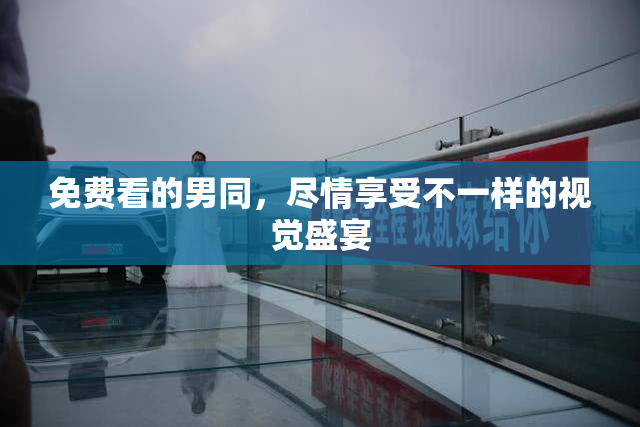 免费看的男同，尽情享受不一样的视觉盛宴