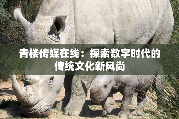青楼传媒在线：探索数字时代的传统文化新风尚