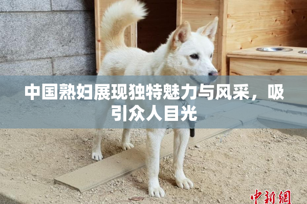 中国熟妇展现独特魅力与风采，吸引众人目光