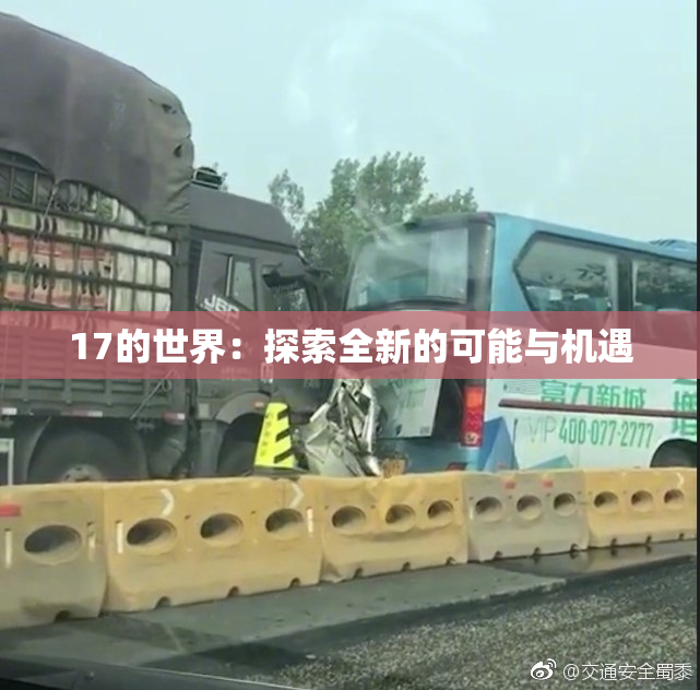 17的世界：探索全新的可能与机遇