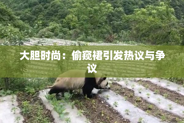 大胆时尚：偷窥裙引发热议与争议