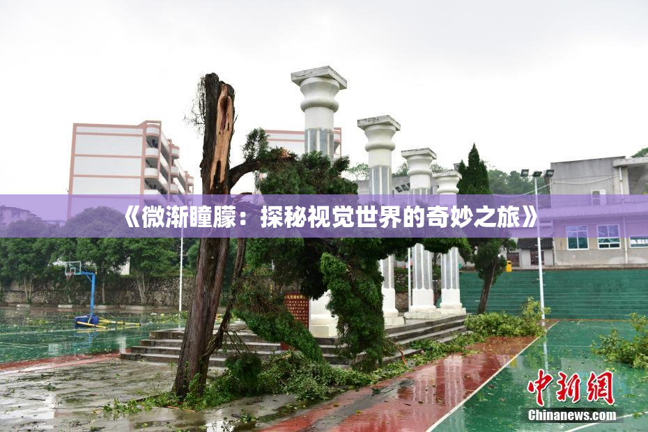 《微渐瞳朦：探秘视觉世界的奇妙之旅》