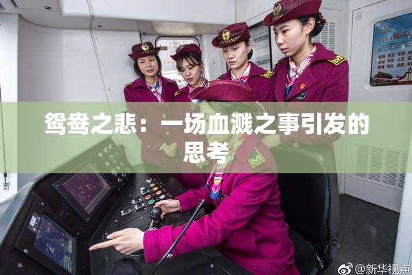 鸳鸯之悲：一场血溅之事引发的思考