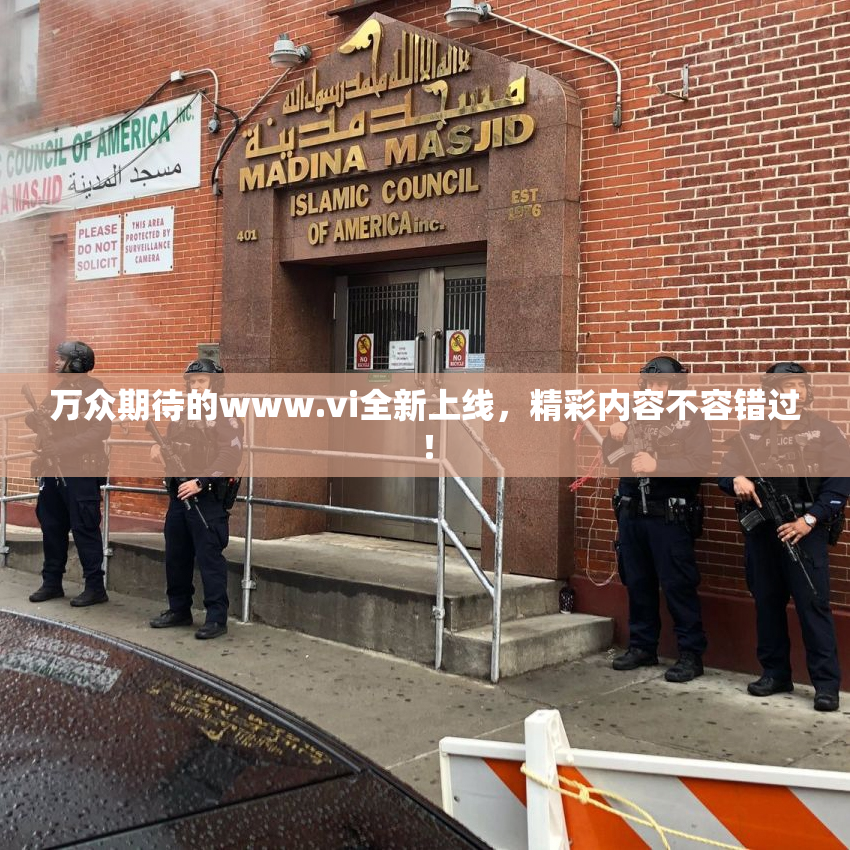 万众期待的www.vi全新上线，精彩内容不容错过！
