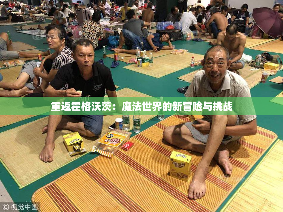 重返霍格沃茨：魔法世界的新冒险与挑战