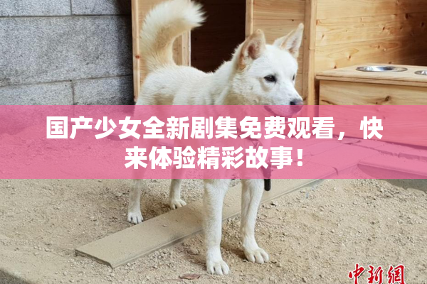 国产少女全新剧集免费观看，快来体验精彩故事！