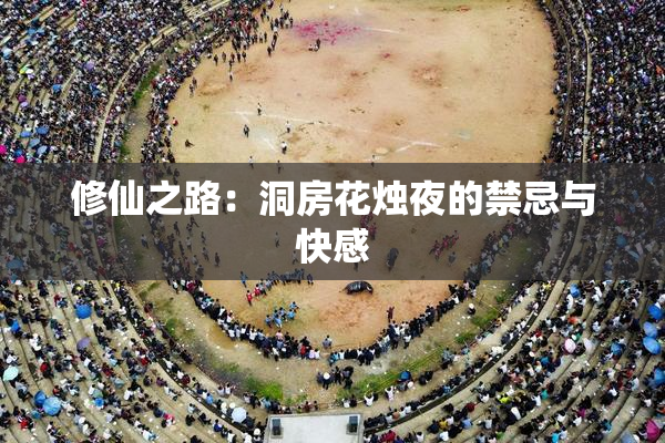 修仙之路：洞房花烛夜的禁忌与快感