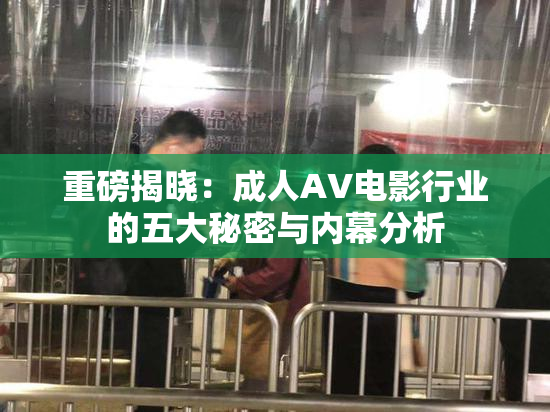 重磅揭晓：成人AV电影行业的五大秘密与内幕分析