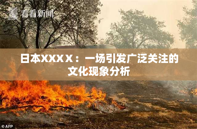 日本XXXⅩ：一场引发广泛关注的文化现象分析