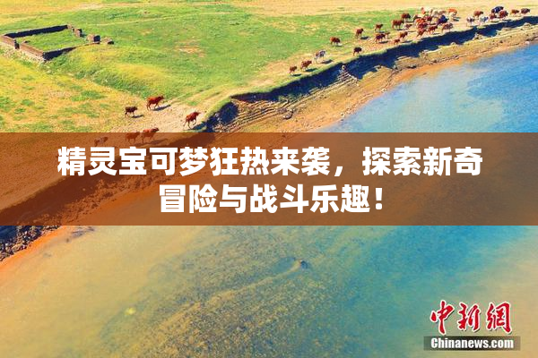 精灵宝可梦狂热来袭，探索新奇冒险与战斗乐趣！
